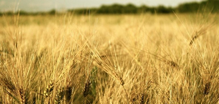 Informe de exportaciones enero – julio de 2021