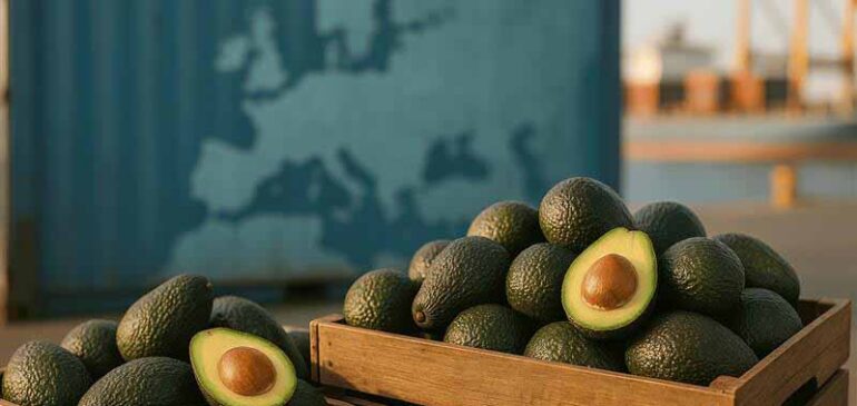 Informe de exportaciones colombianas de frutas 2025 (enero a julio)