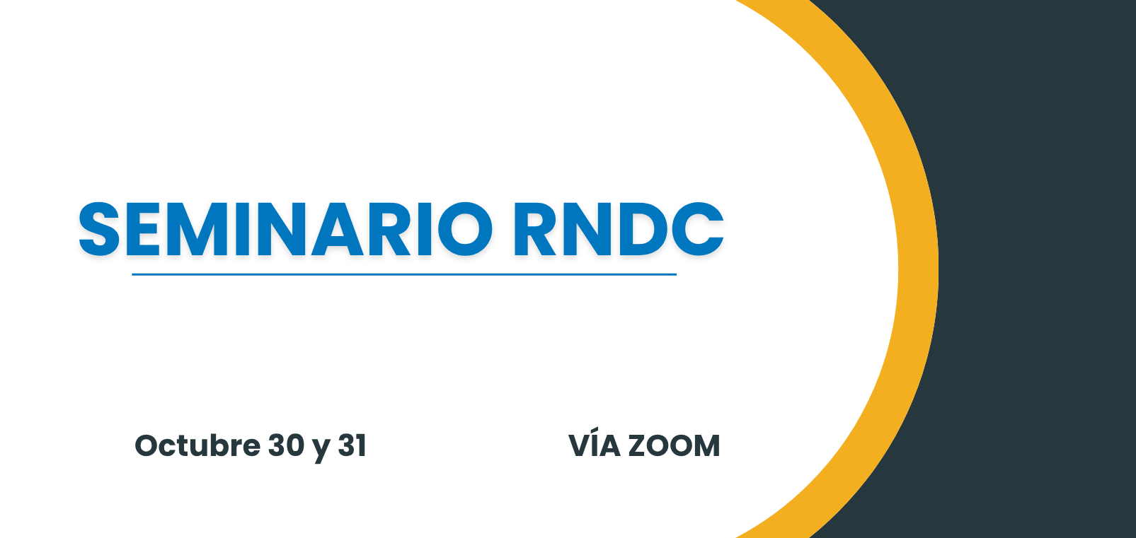 Seminario RNDC