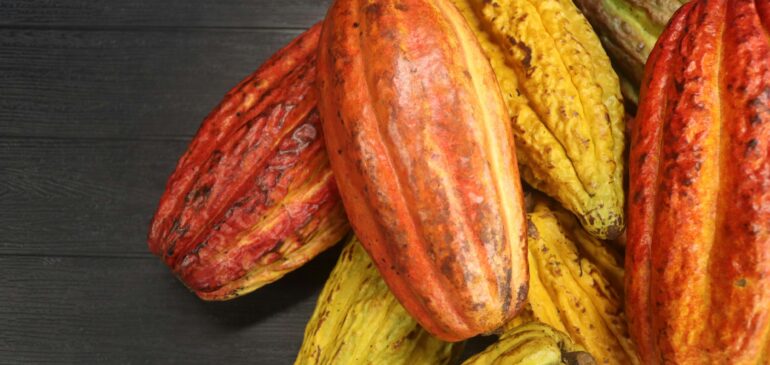 El mundo aumentó 56% las compras de cacao y sus derivados con origen colombiano en 2025