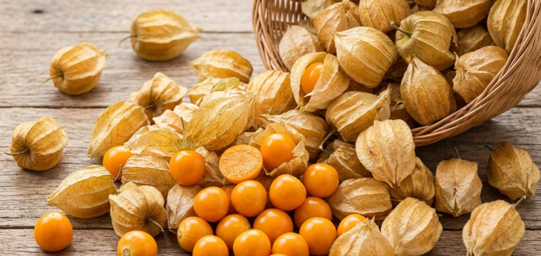 Exportaciones de Uchuva colombiana