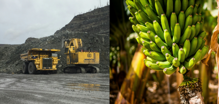 Exportaciones no mineras del Caribe colombiano crecieron 4,6% en los primeros dos meses de 2026
