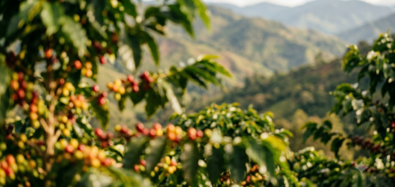 En mayo de 2026 las exportaciones colombianas aumentan 19,2%.